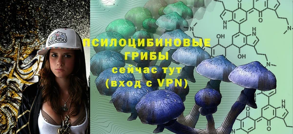 соль ск Алексеевка