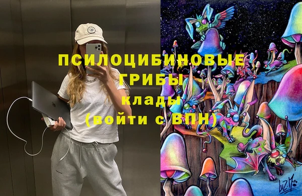 соль ск Алексеевка